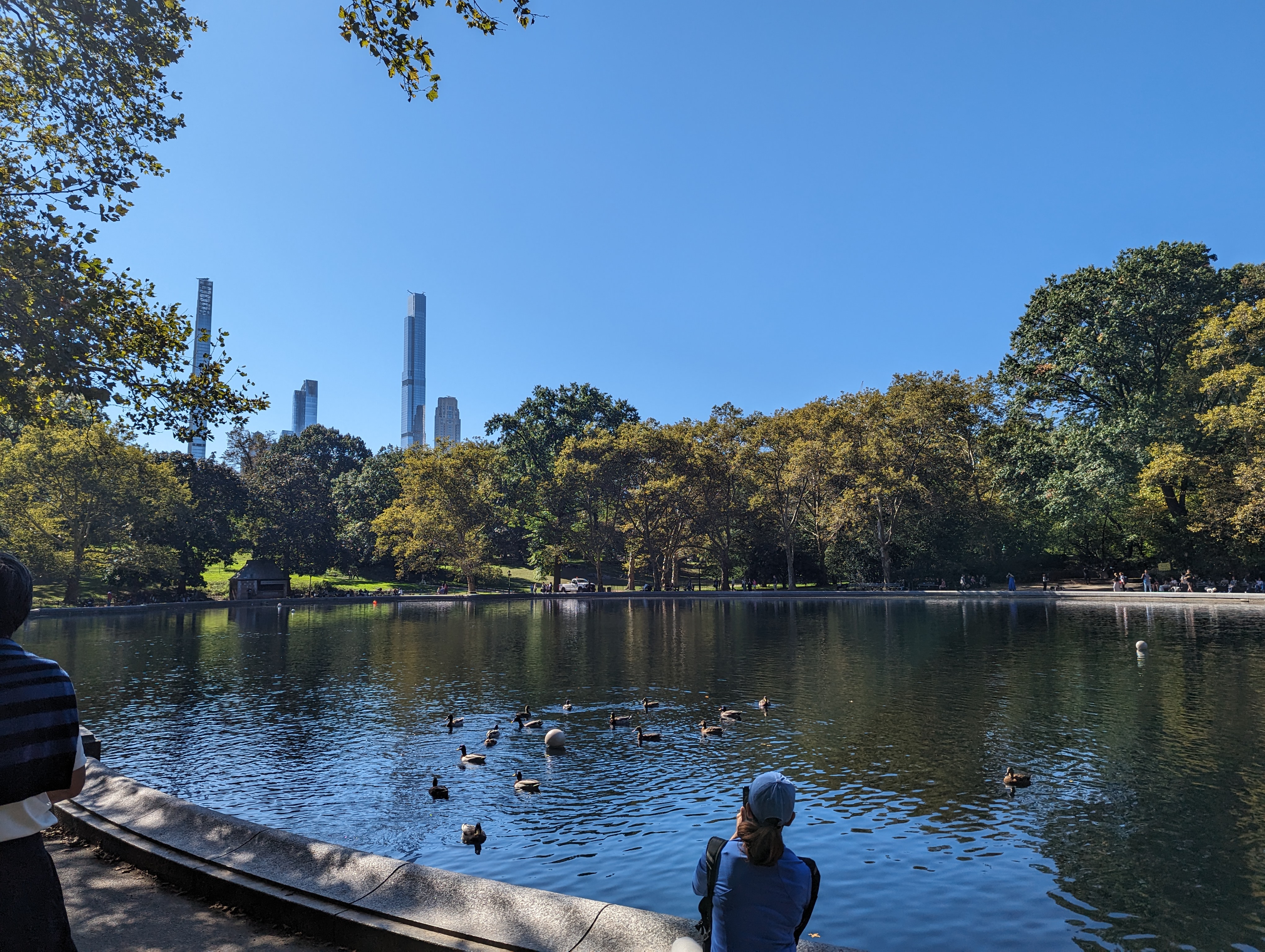 Central Park in the Fall